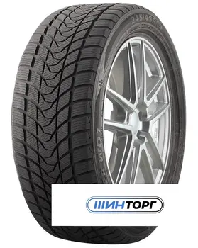 Delinte Winter WD1 245/45 R19 98S
