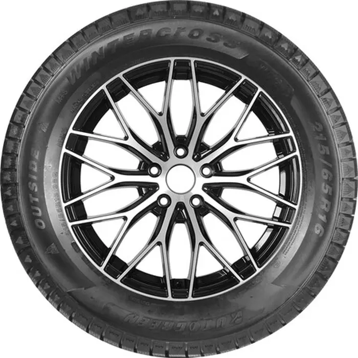 Autogreen WL6 255/50 R19 103T